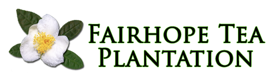 Fairhope Tea Plantation Logo